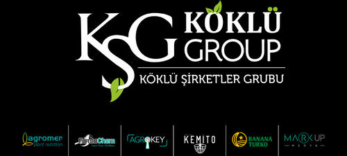 Köklü Group